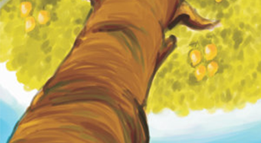 Sister, Sister, Why Don’t Things Fall Up?