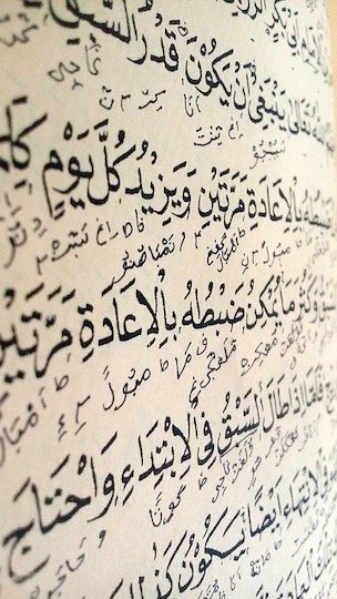 My Dialect and MSA (Level 2)