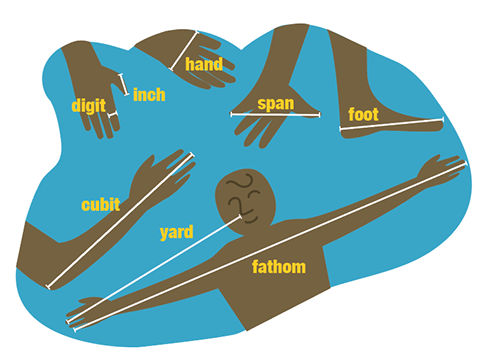Beauty in Shapes and Measurements (Level 0)